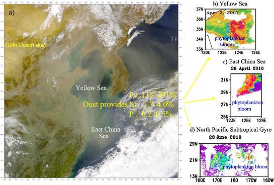 Dust Plume Over the Chinese Marginal Seas