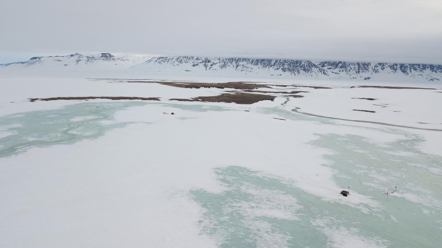 Last Year's Extreme Snowfall Wiped out Breeding of Arctic Animals and Plants