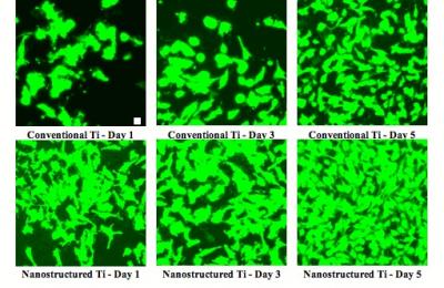 Smoother is Not Better