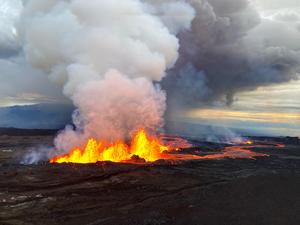 Maunaloa volcano