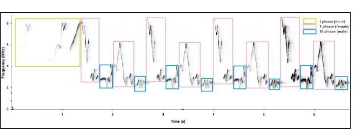 Plain Wren Duets Spec Graph