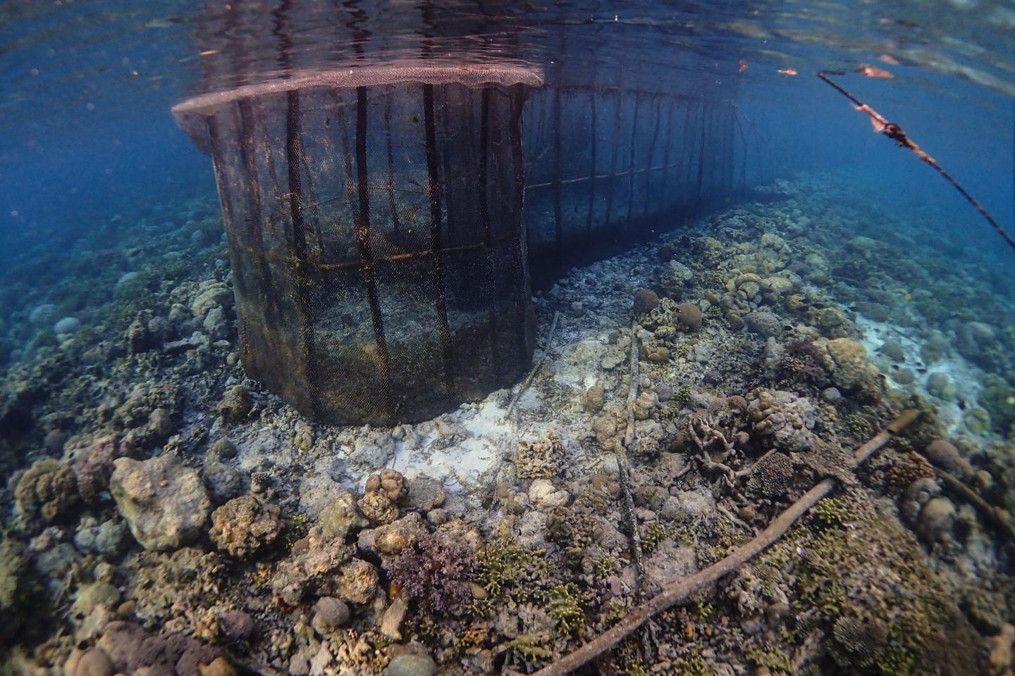 A Large Fish Fence Used in Indonesia