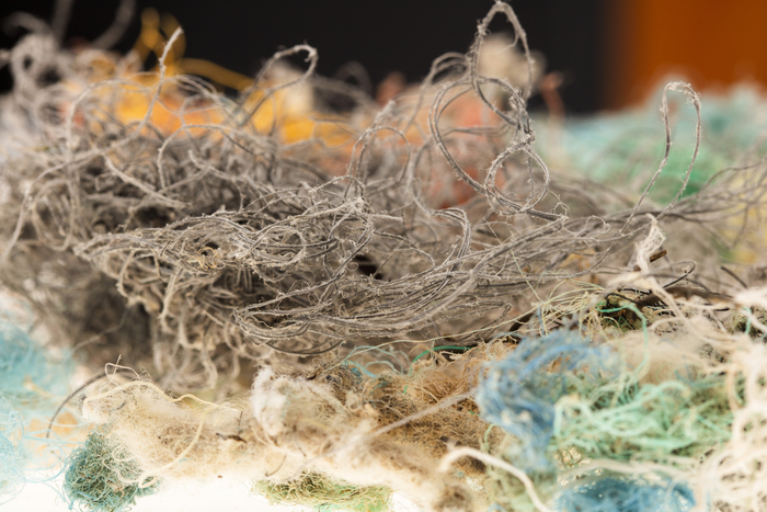 Investigating the potential marine impacts of synthetic rope