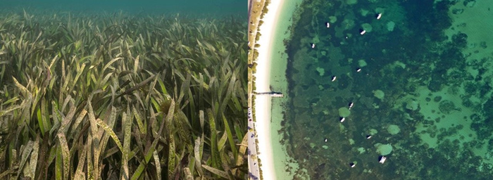 Aerial shot of moor scars at NSW's Port Stephens