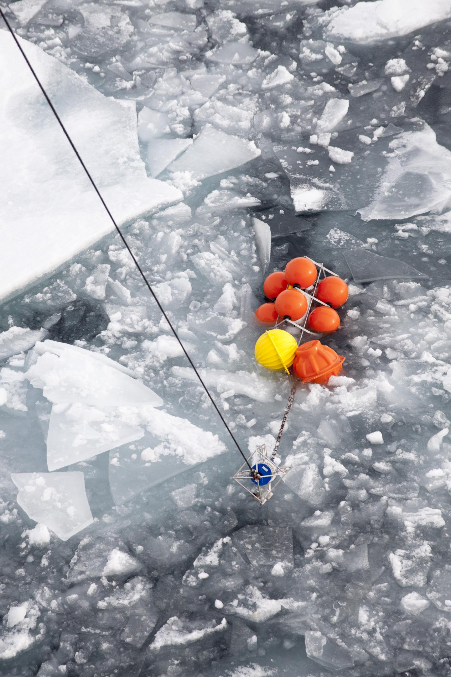 The Arctic Ocean is Becoming More Like the Atlantic