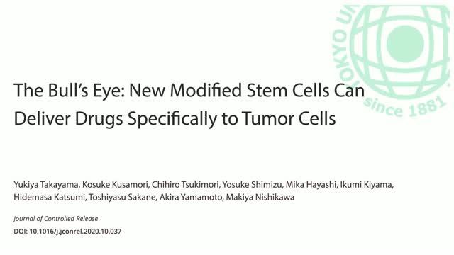 Deliver Drugs Specifically to Tumor Cells