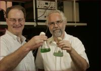 Scientists to Lead Biofuel Effort