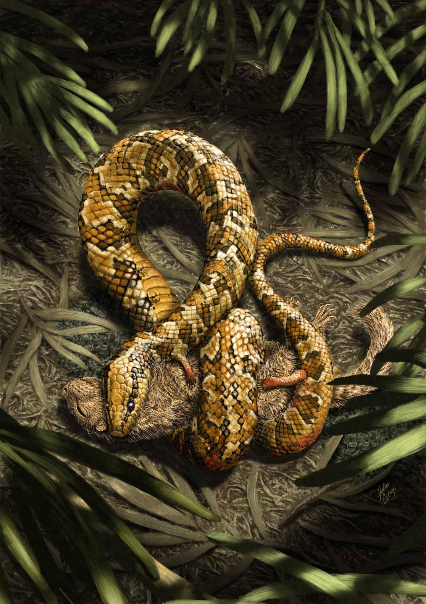 Four-legged Fossil Suggests Snakes Evolved From Burrowing Ancestors (1 of 7)