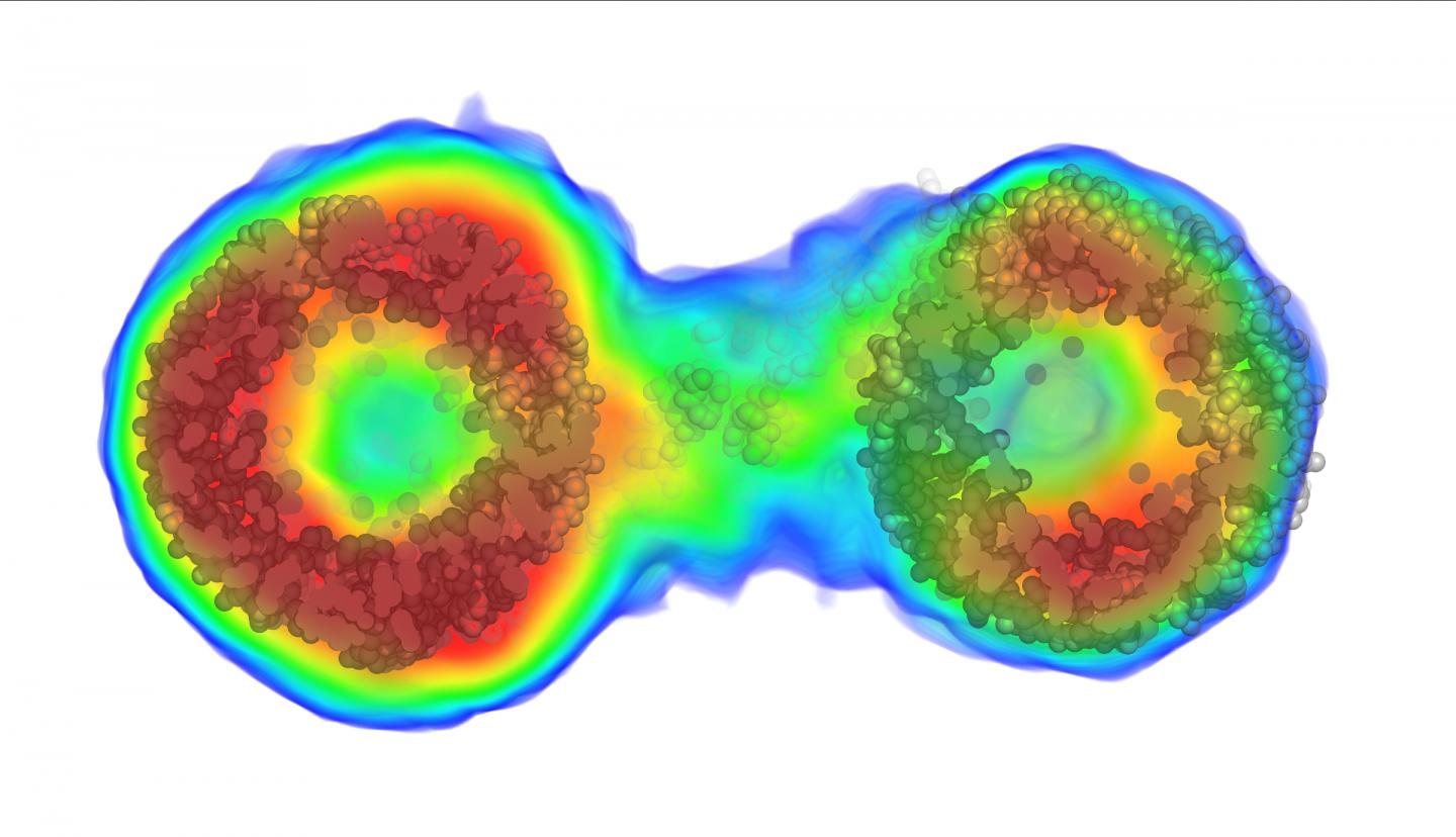 New Imaging Method Reveals Detailed Internal Structure of Biomolecule
