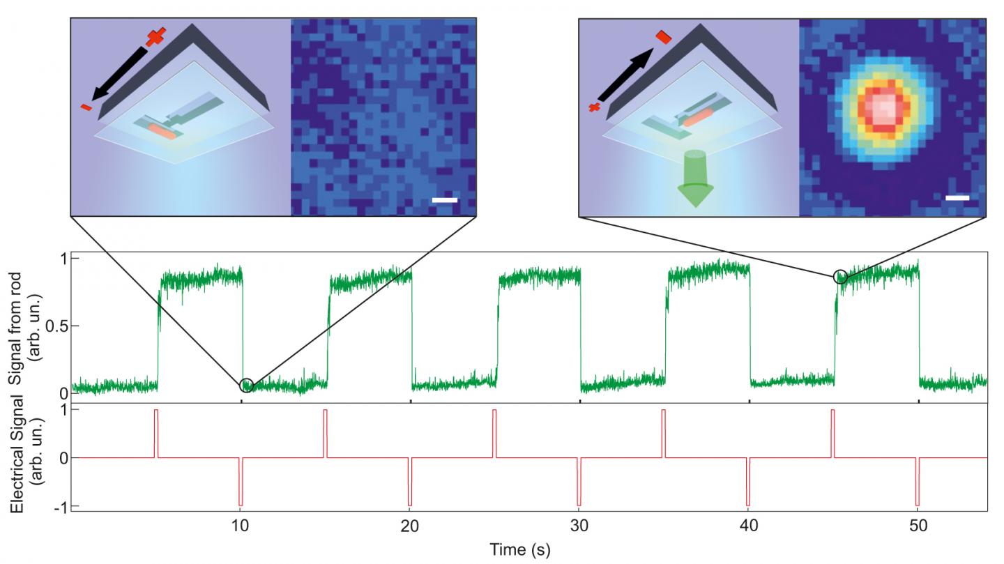 A Nanorod Is Switched between 2 States
