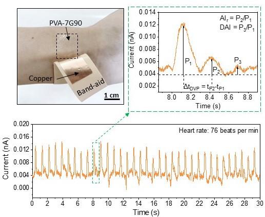 Purdue University Heart Monitor