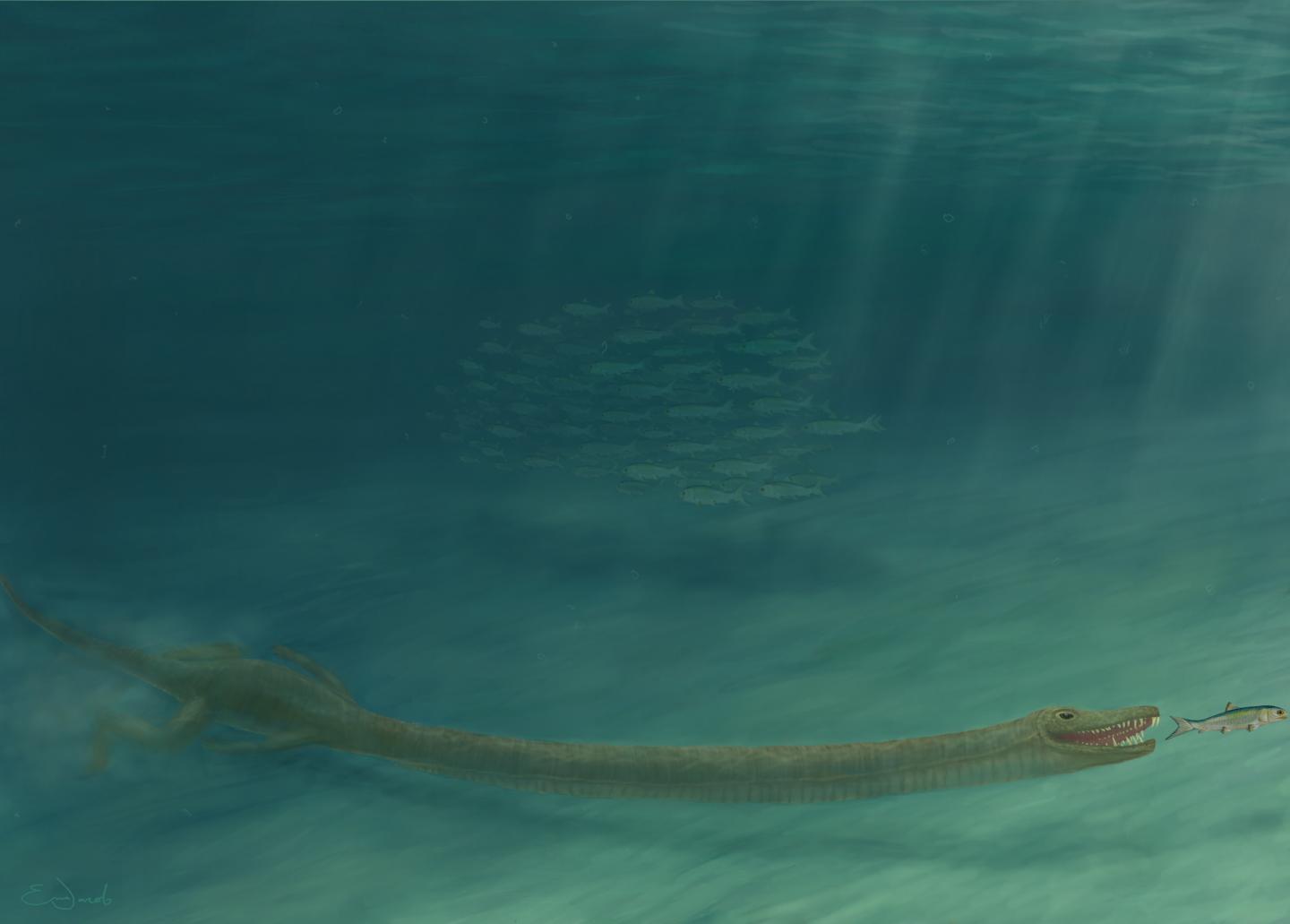 Visualization of Tanystropheus