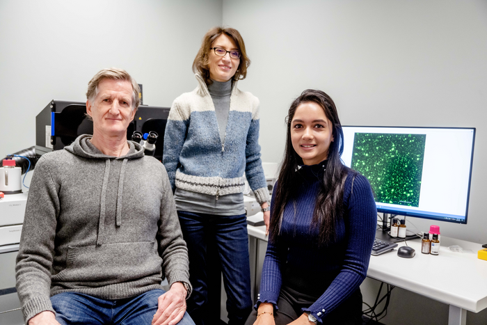 Jörg Tatzelt, Konstanze Winklhofer and Simran Goel (from left) carried out the research together.