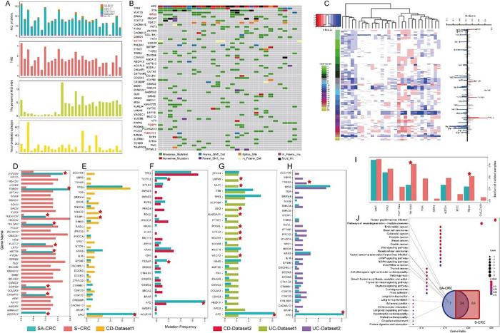 Genomic landscape of schistosomiasis-associated colorectal cancer.