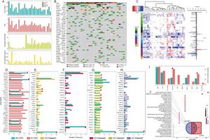 Genomic landscape of schistosomiasis-associated colorectal cancer.