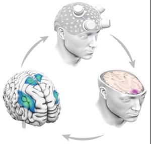 The principle behind the novel bidirectional brain-computer interface