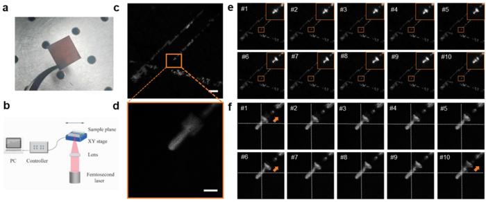 In-situ and real-time monitoring of laser material processing when translating the sample stage.