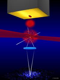 Bose Einstein Condensates and the Quantum Chip