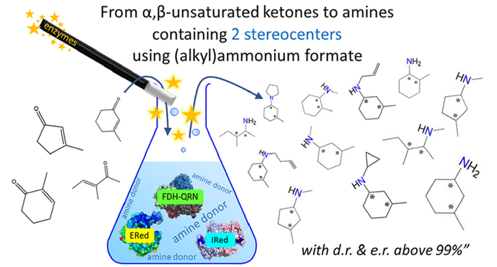 Enzymatic synthesis of primary, secondary and | EurekAlert!