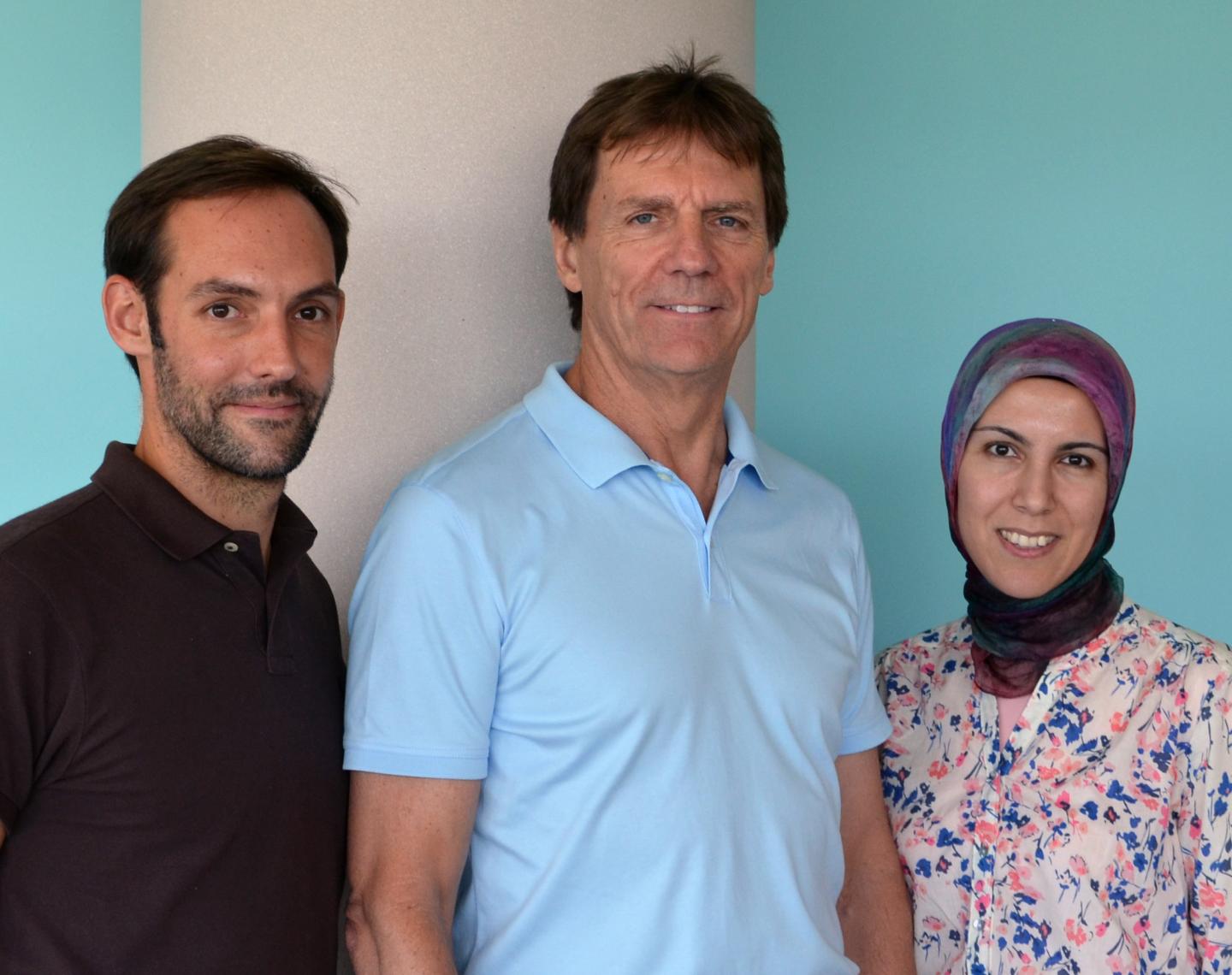 Germain U. Busto, Ron Davis and Tugba Guven-Ozkan