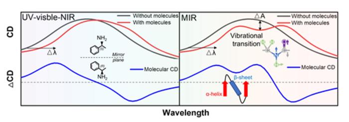 Figure 1 | Different sensing mechanism between CD and VCD spectroscopy.