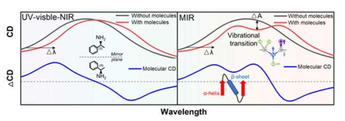 Figure 1 | Different sensing mechanism between CD and VCD spectroscopy.