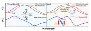 Figure 1 | Different sensing mechanism between CD and VCD spectroscopy.