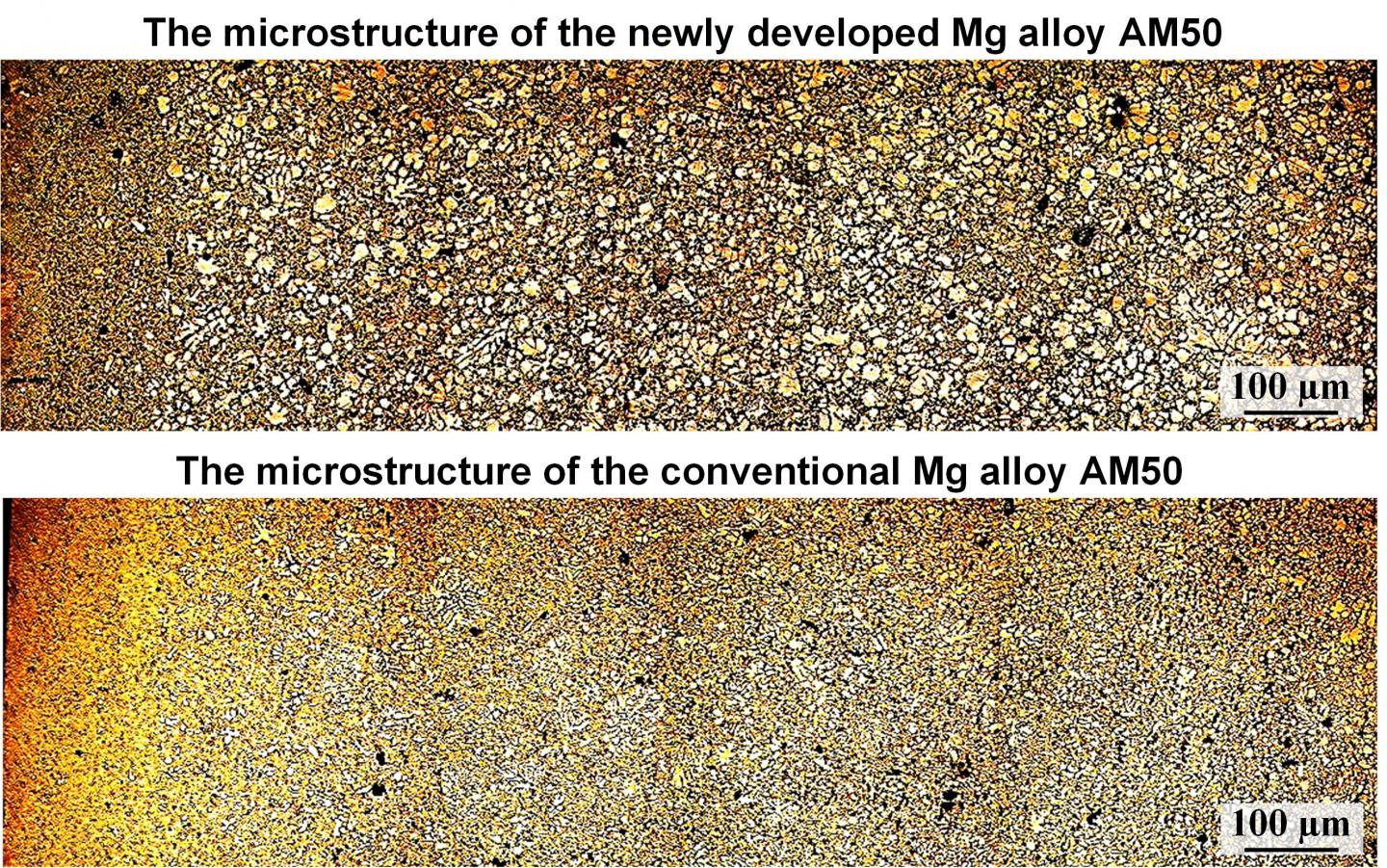 Magnesium with Improved Corrosion Resistance