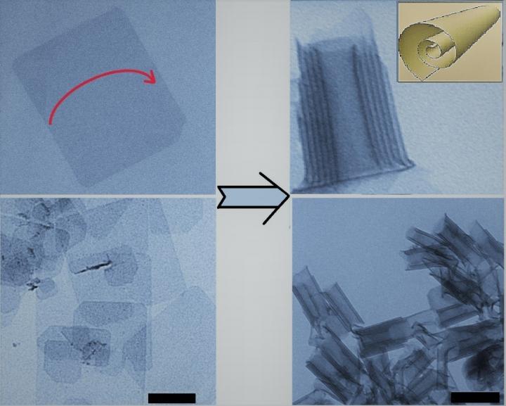 TEM Images of 2-D Cadmium Telluride Sheers