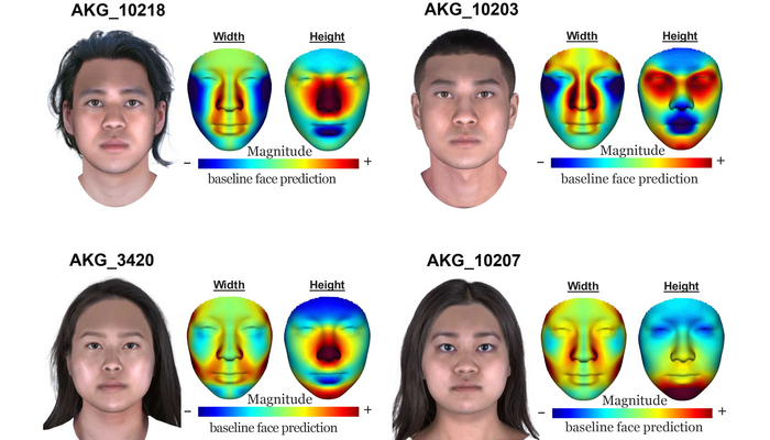 Facial reconstruction of four Ancient Korean individuals based on Ancient DNA data. (© Current Biology)