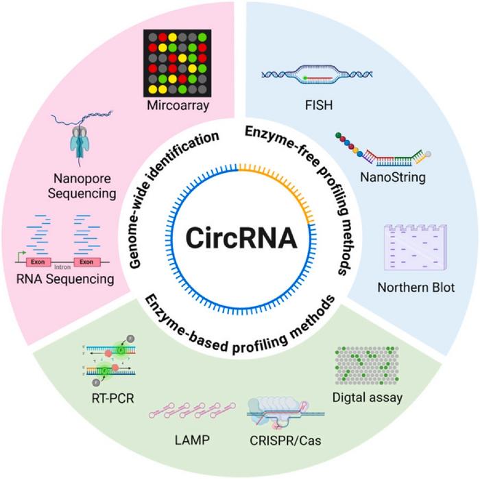 SCHEMATIC REPRESENTATION OF DIVERSE CIRCRNA PROFILING METHODS