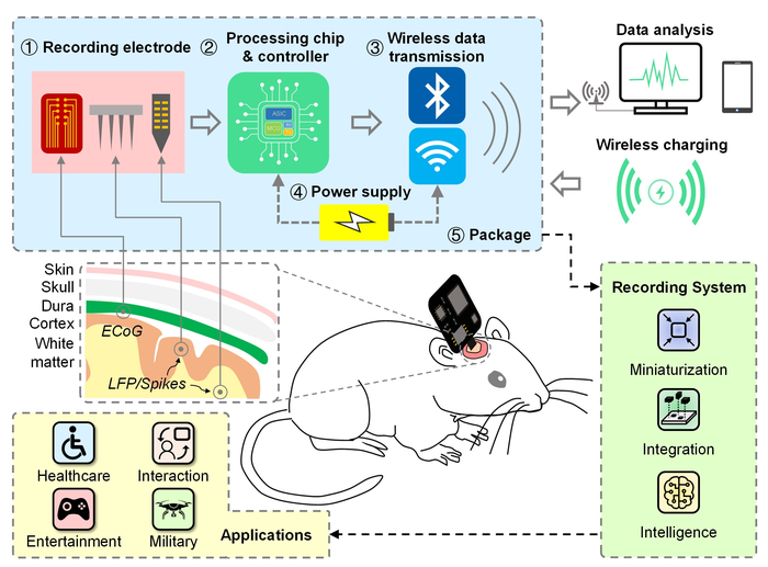 Configuration, trends, and applications of wireless epicortical and intracortical neuronal recording systems.