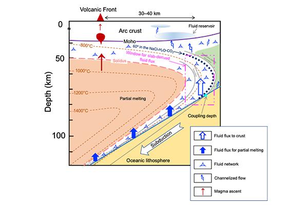 The Connectivity of Multicomponent Fluids in Subduction Zones