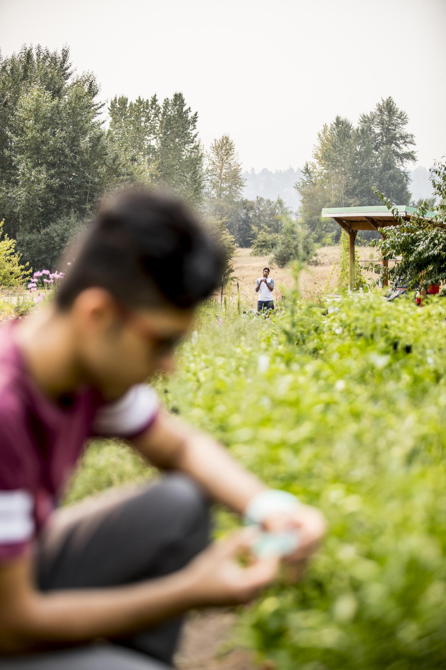 UW Long-Range Backscatter Farm