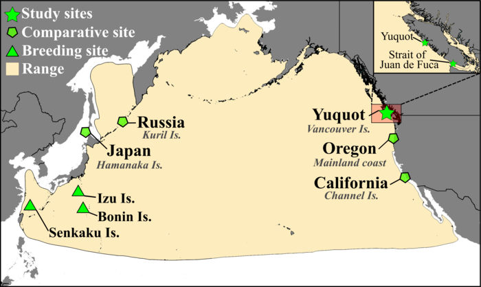 Albatross Foraging - Figure 1