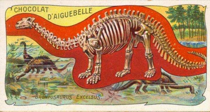 <I>Brontosaurus</I> in the 1880s