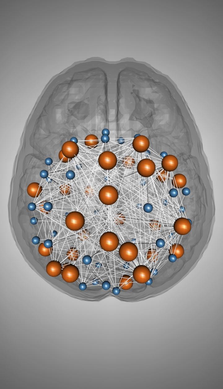 Networking the Brain