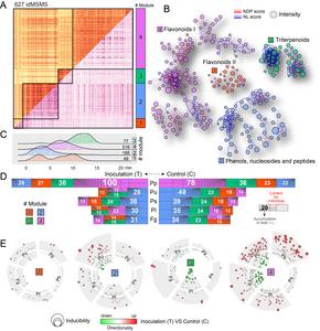 In soybean, the structural elucidation infers four main metabolic modules and their differential distributions in response to five pathogens