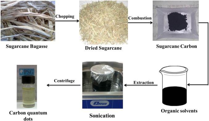 Process of Turning Bagasse into Carbon Quantum Dots