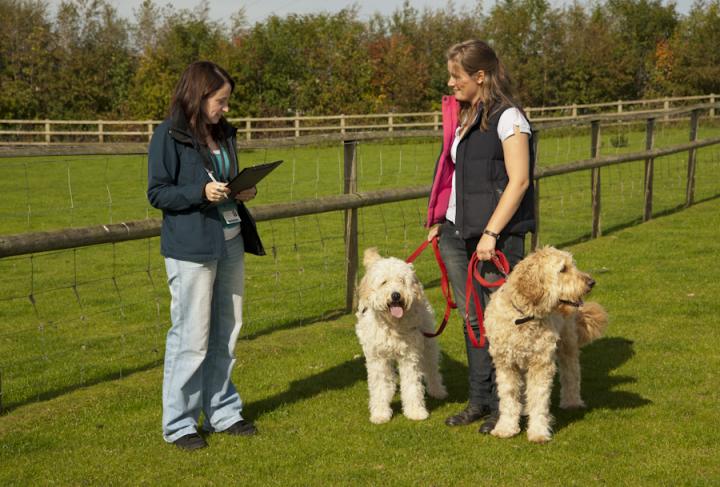 Dr Carri Westgarth and Companion with Dogs