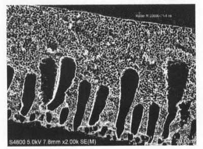 Asymmetric RO Membrane