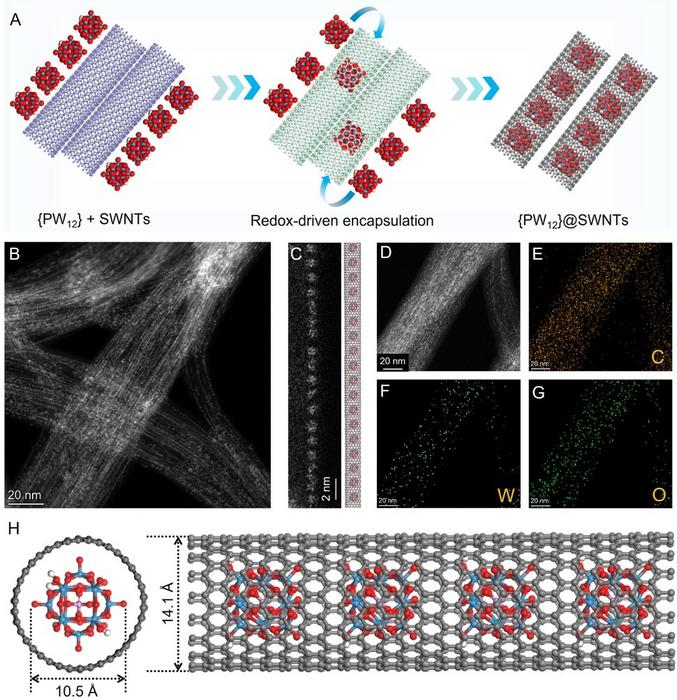 Schematic illustration and electron microscopy characterization of one-dimensional heterostructures of SWNT-confined polyoxometalate clusters