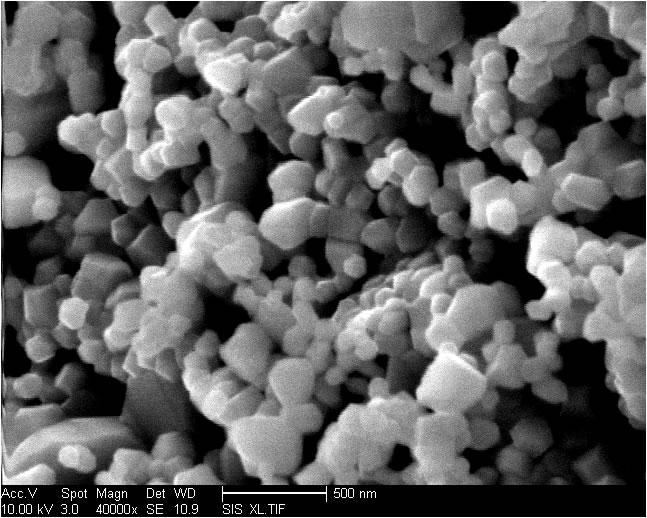 SEM of Multisurface Material