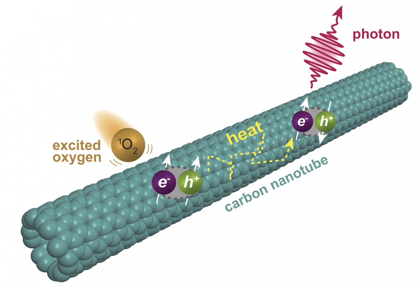 NANOTUBES 1