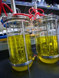 Microbial-Based Advanced Biofuels