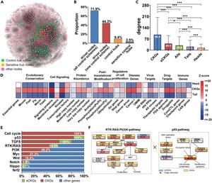 Integrating machine learning with total network controllability analysis to identify therapeutic targets for cancer treatment