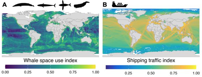 Whale ship use index