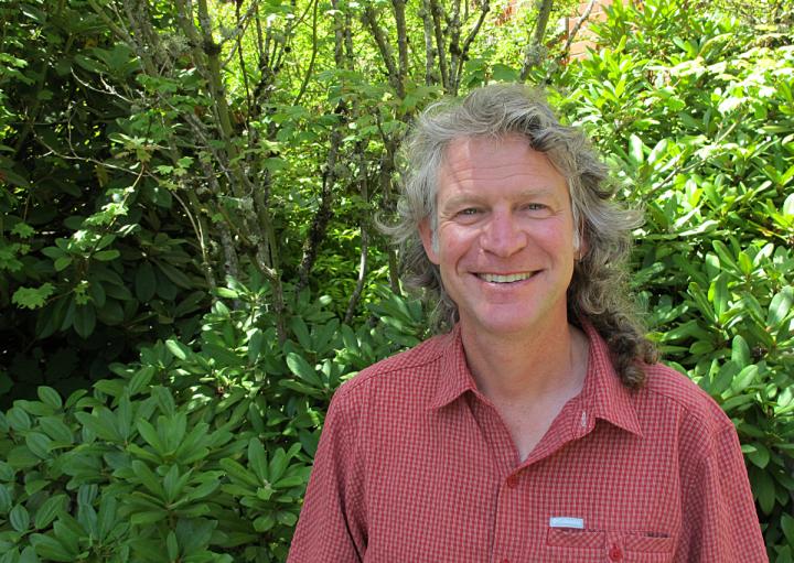 Richard Taylor, University of [IMAGE] EurekAlert! Science News Releases