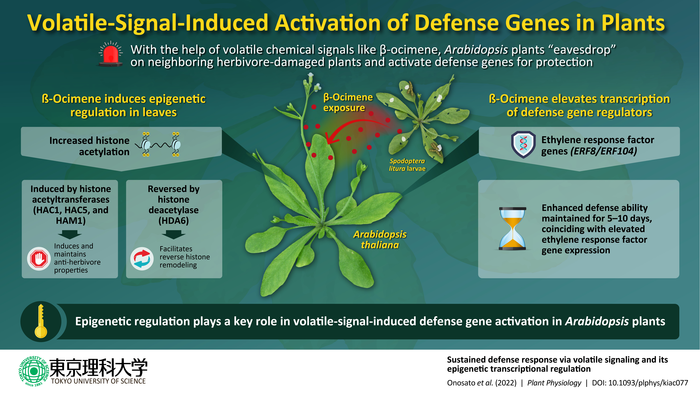 Volatile-signal-induced activation of defense genes in plants