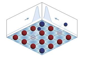 Atoms accumulate at the edge with non-Hermiticity introduced through dissipation in two dimensions